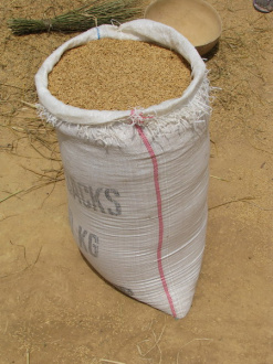 12 En Sacs De 100kg